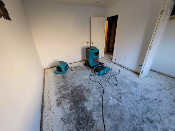 Best Professional water damage repair  in Rossmoyne, OH