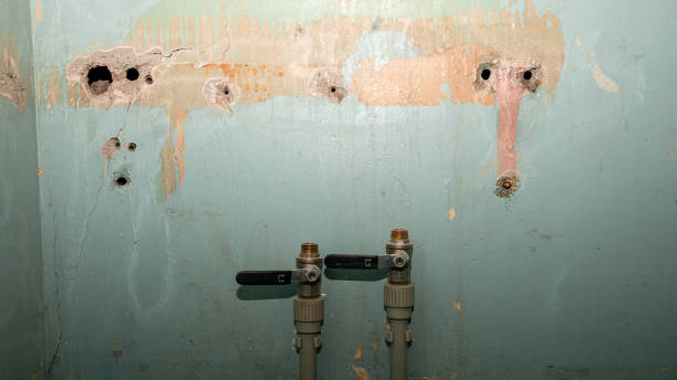 Best Water damage restoration insurance claims  in Rossmoyne, OH