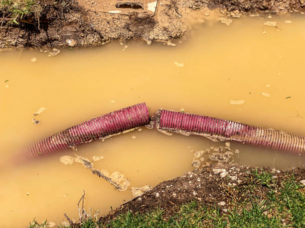 Best 24/7 water damage repair  in Rossmoyne, OH